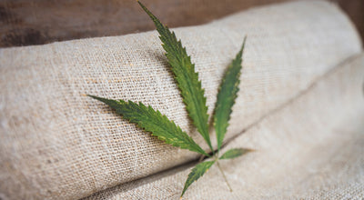Top 10 Amazing Facts About Hemp