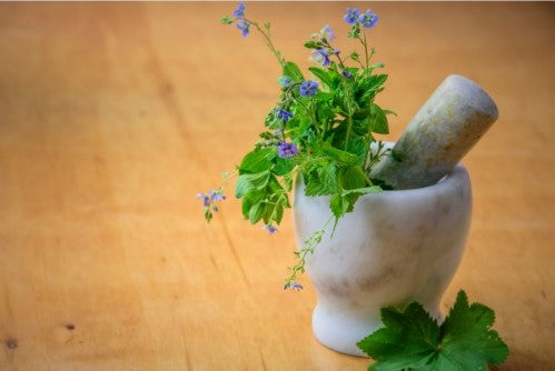 Ayurveda