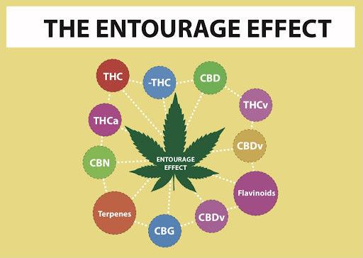 the entourage effect CBD