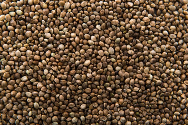 hemp seeds for health