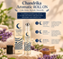 Chandrika Aromatic Roll-on | Calming and Relaxing