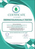 Muscle & Joint Pain Oil | Ayurvedic Pain Relief Oil