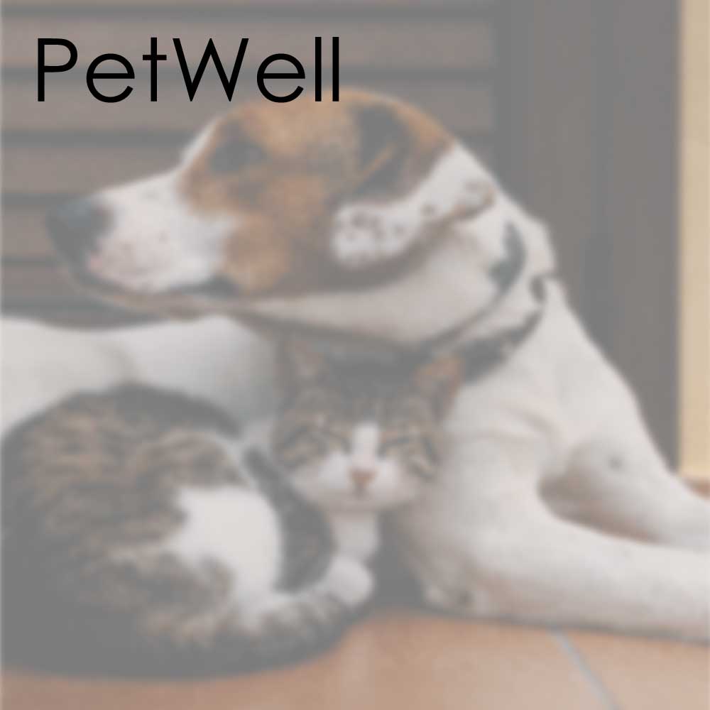 Petwell hemp seed oil for pets